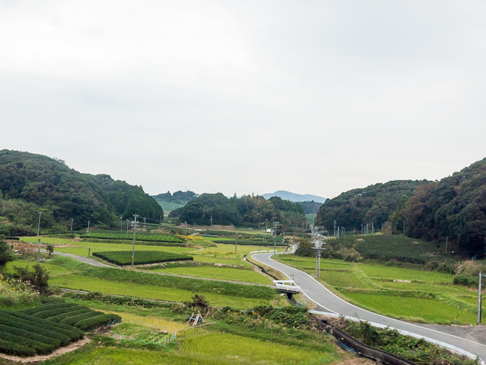 View of Japan from Train