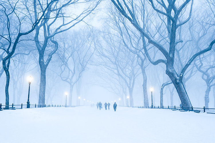 Snowstorm in Central Park, New York with blue tint