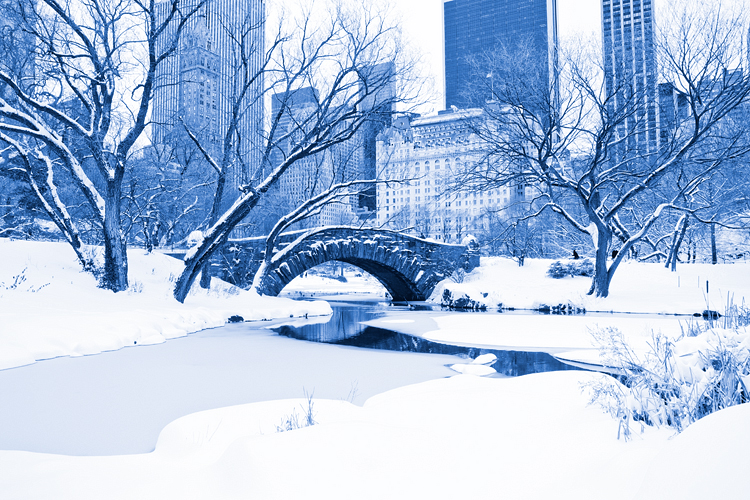 Snowy scene in Central Park with Gapstow Bridge and Plaza Hotel