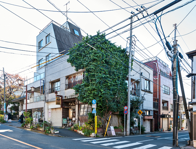 Old Japanese house in Yanaka, Tokyo